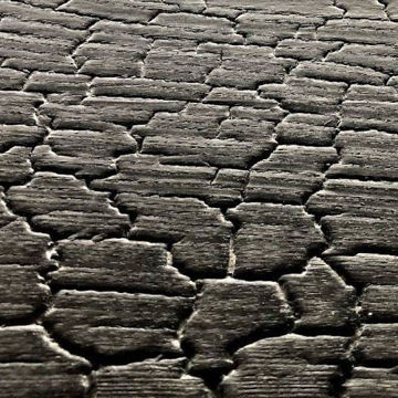 Shou Sugi Ban | TW Ash - TW Essen - TW Frêne - TW Eschenholz