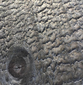 Image de la catégorie Bois brûlé