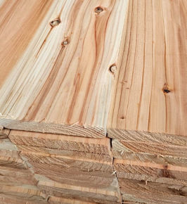 Image de la catégorie Eurosugi Natural